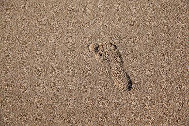 《巫师4》虚幻5再探：世界加载更快、内容更丰富